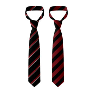 Trinty C Of E High School Tie
